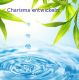 Hypnose MP3 Charisma